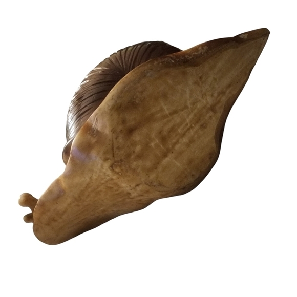 Snail, Realistic, Hand Painted, Figure, Lifelike Approximately 5"x2" Plastic - Picture 3 of 4